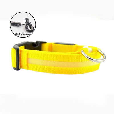 LED Collar for night safety