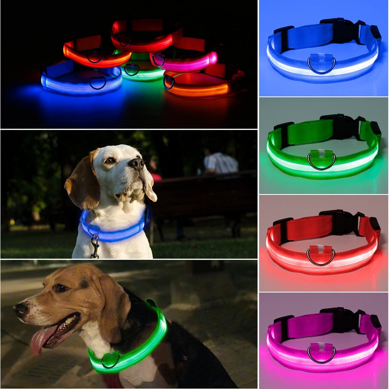 LED Collar for night safety