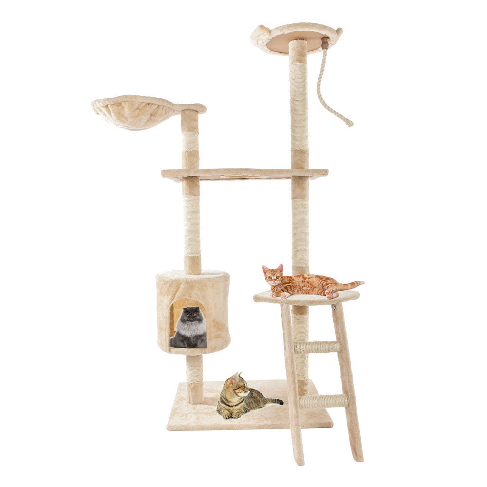 60" Cat Climb Tree