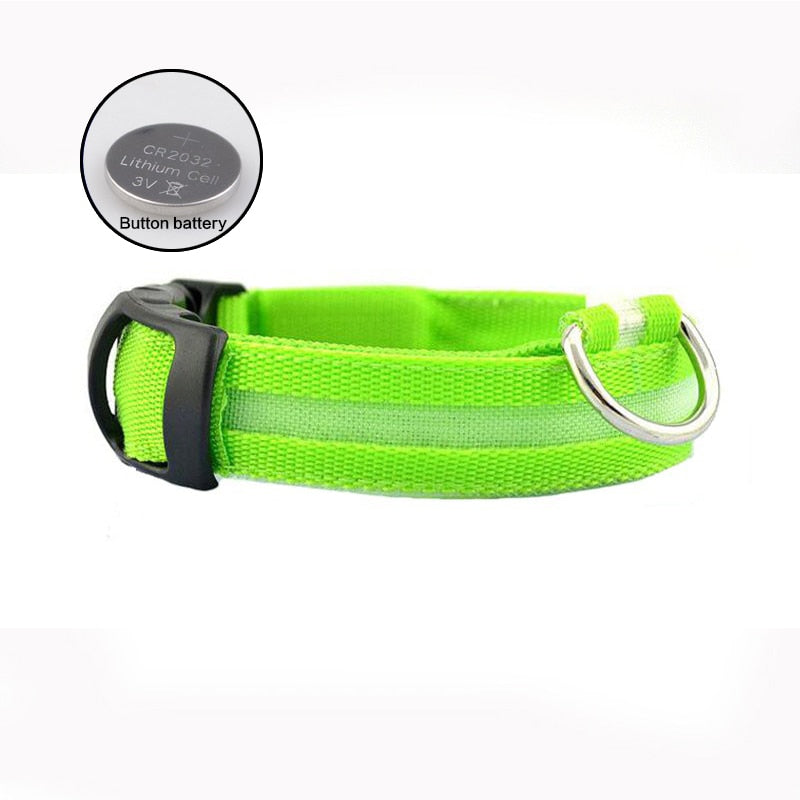 LED Collar for night safety