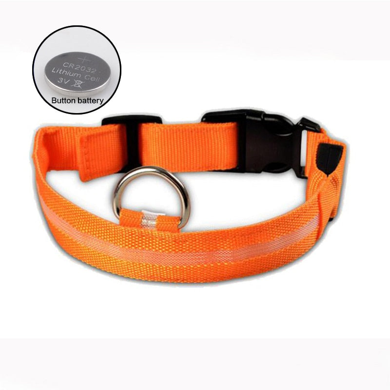 LED Collar for night safety