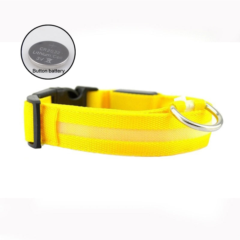 LED Collar for night safety