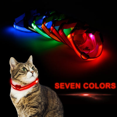 LED Collar for night safety