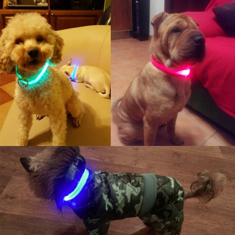 LED Collar for night safety